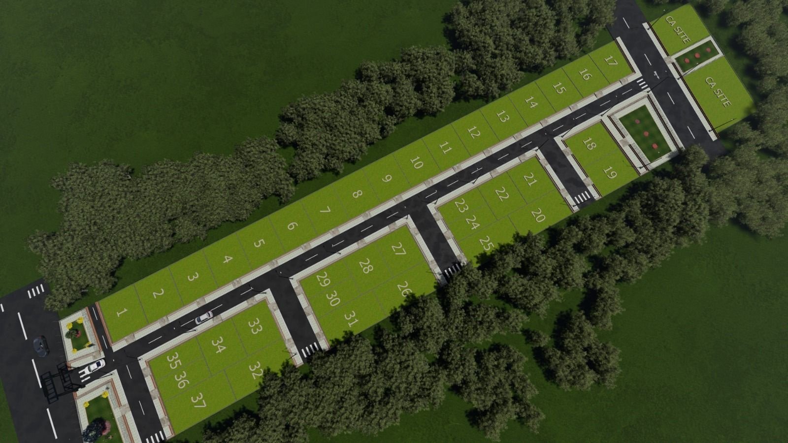 Dense Avenue Tree Plantation and Greenery